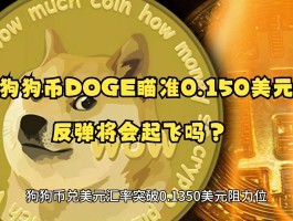 DOGE叫什么币(doge币是主流币吗)