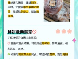 柿饼的功效与作用及禁忌(柿饼的功效与作用及禁忌是什么)