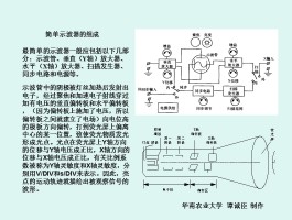 示波器的基本结构(示波器的基本结构是什么)