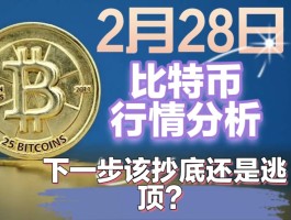 比特币实时信息(比特币实时行情?)