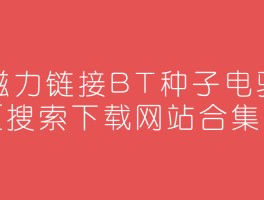 bt种子搜索磁力天堂(bt种子搜索在线搜索大全)
