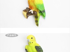 bt鹦鹉磁力的简单介绍